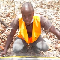 Salif Diarra