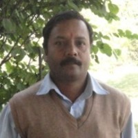 Rajesh Store