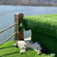 胡艳蓉