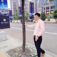 罗公付