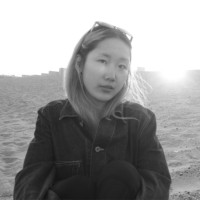 Lily Cai