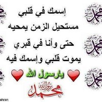 Ahmed Fathi