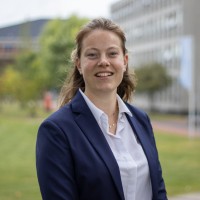 Vlei Blommers