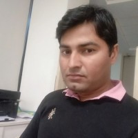 Ved Pal