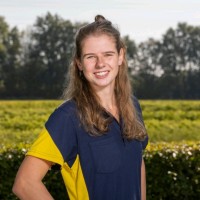 Arina Hotting