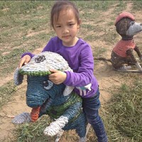 韩延丽