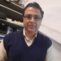 Razvi Ahmed