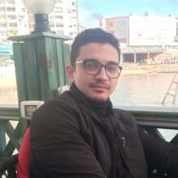Mohamed Eltoukhy