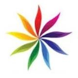 Fatima Feroze and Co .