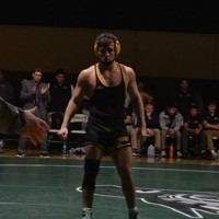 Luke Mangiafico