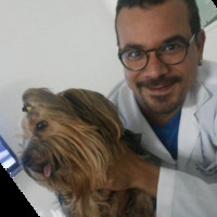 Tiago Evangelista