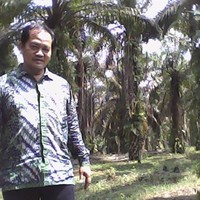 Eko Nursetyo