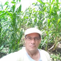 Luis E. Molina