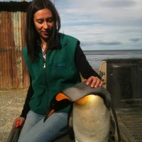 Karin Segovia Kairath