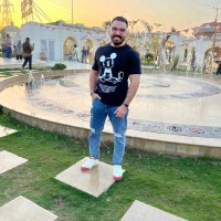 Amr Ellithy