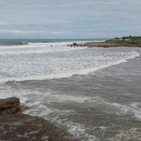 Marilize Van Niekerk