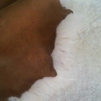 Leather Design Rafael Balaguer