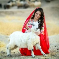 Love Pakistan