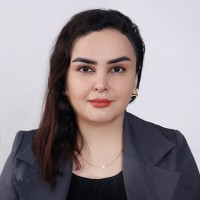 Monire Najafi