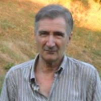 Carlo Veronesi