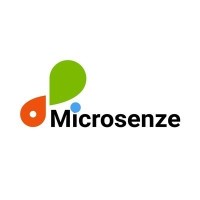 Microsenze Dynamics Private Limited