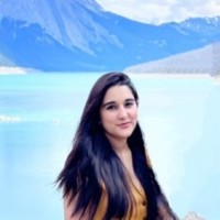 Arfaa Qureshi