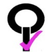 IT Audit Association