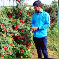 Sushant SurveSushant Surve is an Influencer