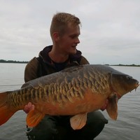 Thijs Spoelder