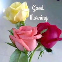 Arvind Bharti