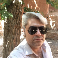 Hamed Lavasani