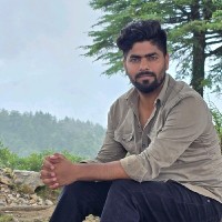 Ali Mujeeb