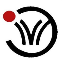 InSure Vision Technologies