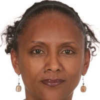 Mimi Tadesse, Pmp, Itil