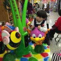 陈琴琴