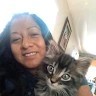 Letty May
