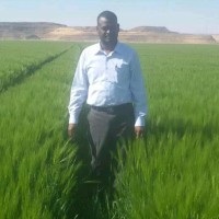 جعفر محمدصالح عبدالعزيز