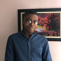 John Adedeji
