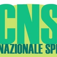 Nicola Vizzini