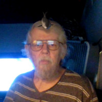 Gary Robertson