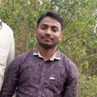 Shahin Alam