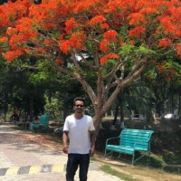 S.M. Arman