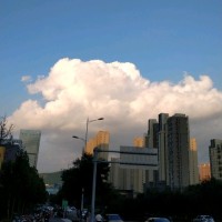 刘玉平