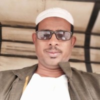 Faisal Elsheikh