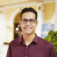 Alaa M. Mohamed