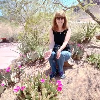 Linda Cline