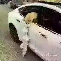 彭泽伟