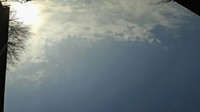 扈智勇