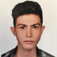 Caner Sarı