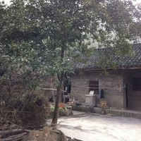 Tuyong Wang